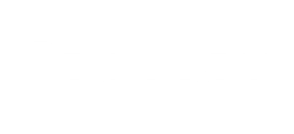 Paytiobay logo