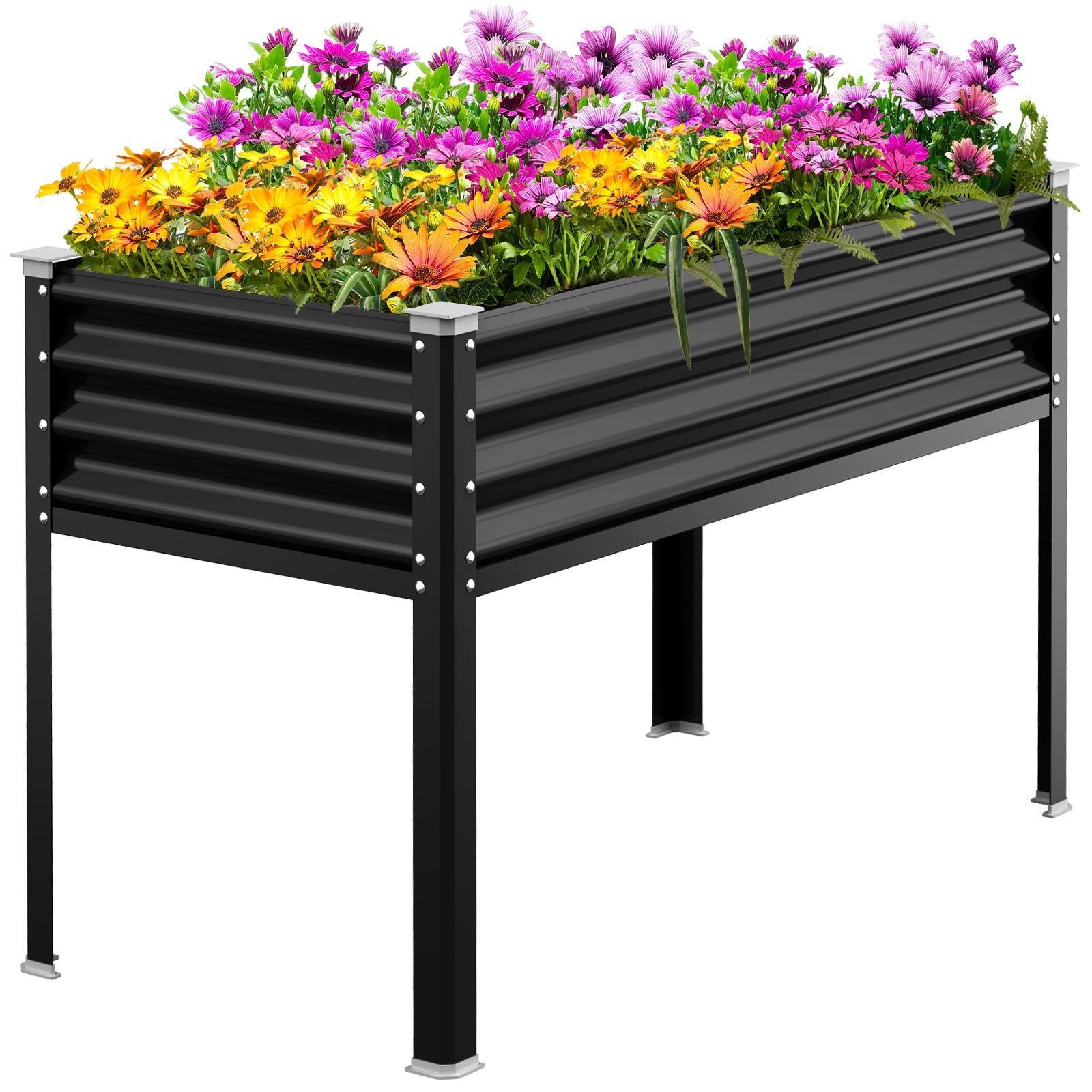 Raised Garden Bed with Legs(Black,48×24×32)