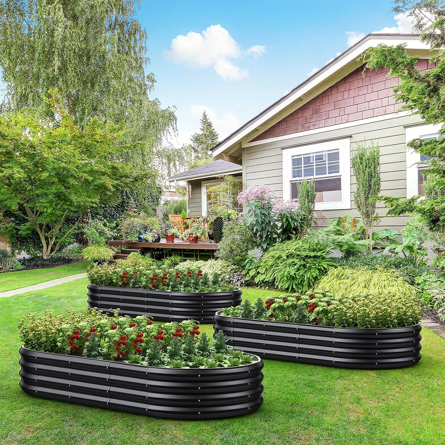 Raised Garden Bed (6x3x1ft)